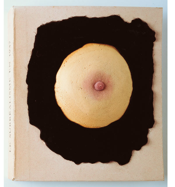 Sein sur velours