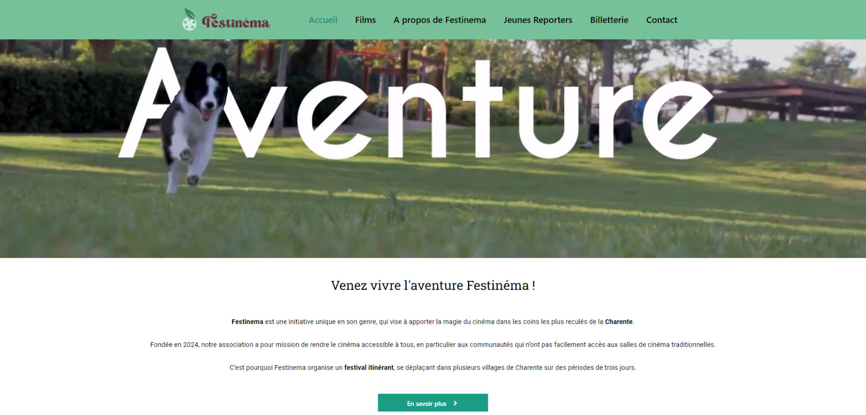 La page d'accueil du site de Festinema, avec un menu et une description de l'association